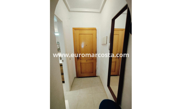 Sale - Apartment / flat - Torrevieja - TORREVIEJA