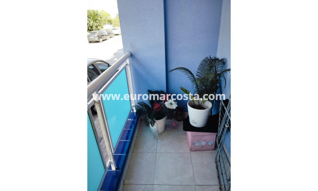 Sale - Apartment / flat - Torrevieja - TORREVIEJA