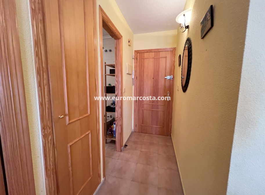 Sale - Apartment / flat - La Mata