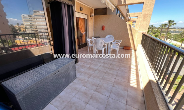 Venta - Apartamento / piso - La Mata