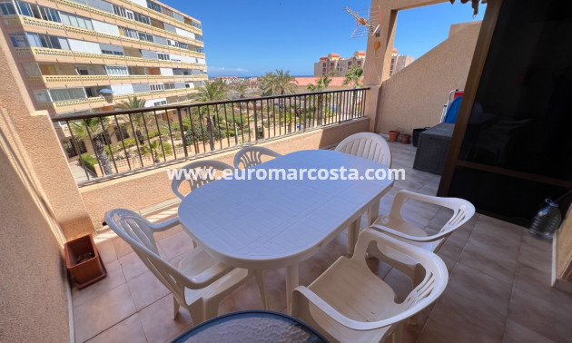 Venta - Apartamento / piso - La Mata