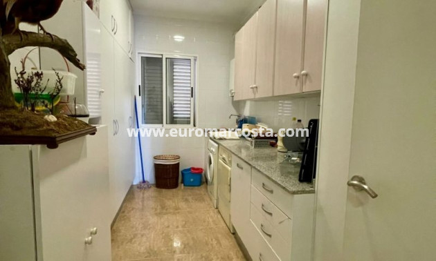 Venta - Villa - Torrevieja - TORREVIEJA