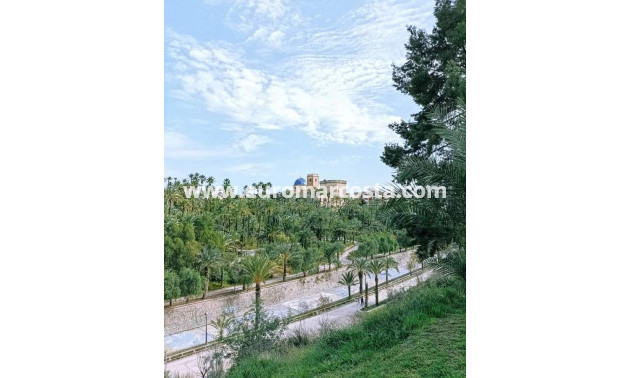 Sale - Commercial - Elche - Elche/Elx