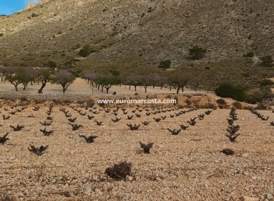 Objekte zum Wiederverkauf - Land - Murcia