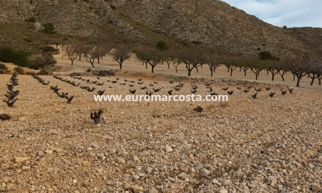 Objekte zum Wiederverkauf - Land - Murcia