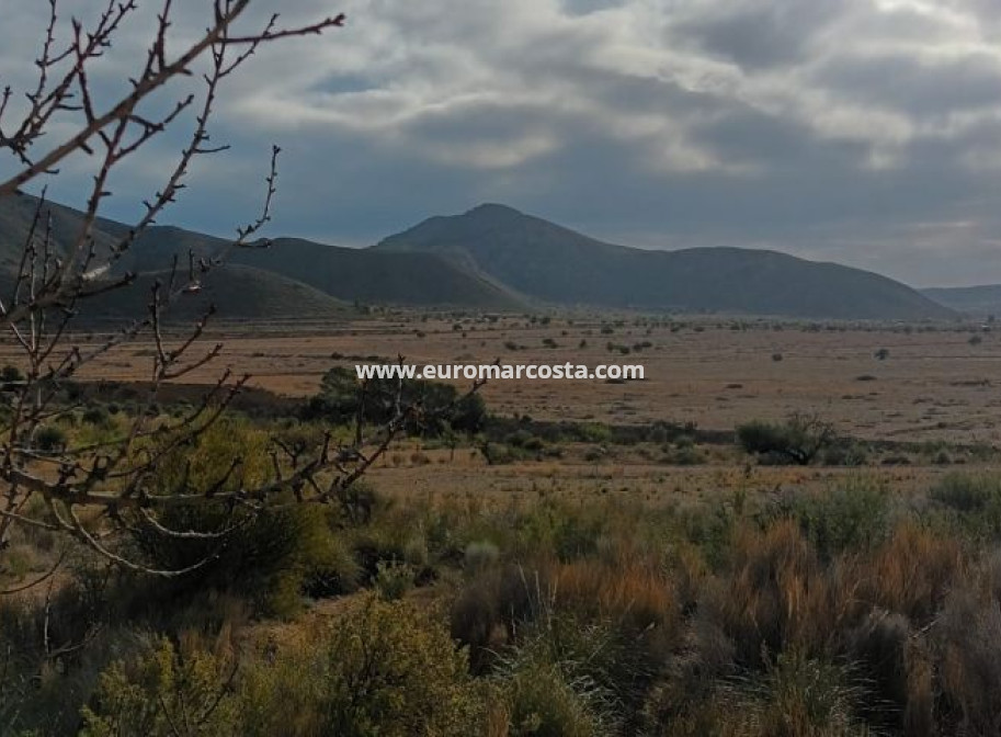 Objekte zum Wiederverkauf - Land - Murcia