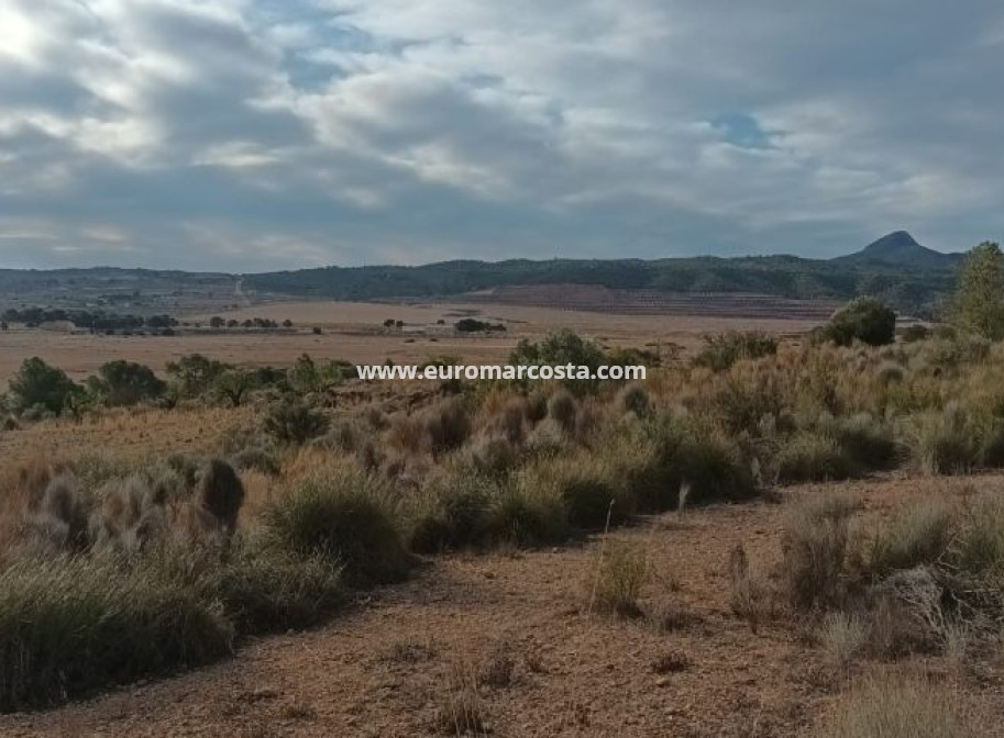 Objekte zum Wiederverkauf - Land - Murcia