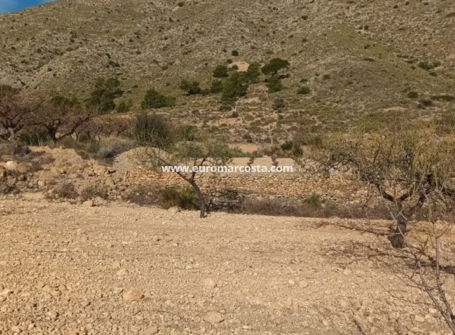 Objekte zum Wiederverkauf - Land - Murcia