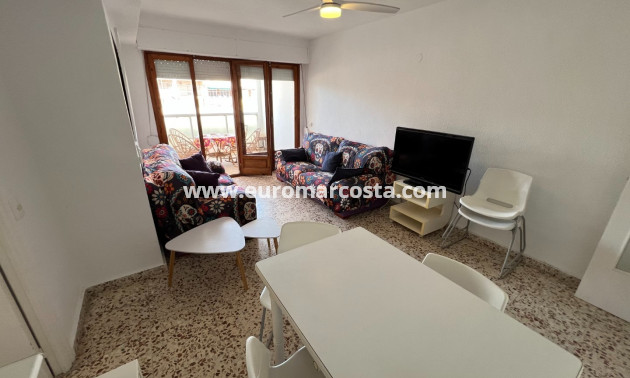 Venta - Apartamento / piso - Guardamar del Segura