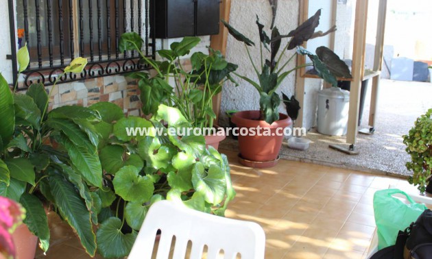 Venta - Chalet - Crevillente