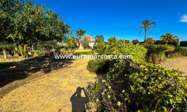 Sale - Country house - Orihuela