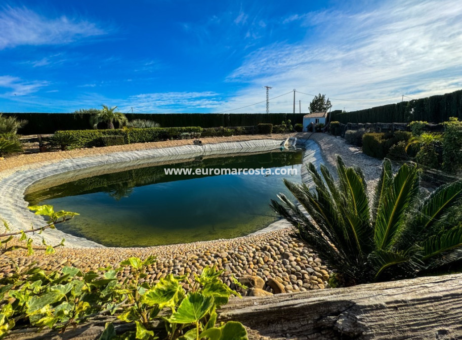 Venta - Casa de campo - Orihuela