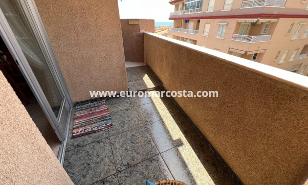 Venta - Apartamento / piso - Guardamar del Segura