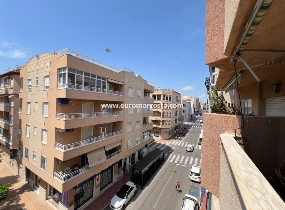 Venta - Apartamento / piso - Guardamar del Segura