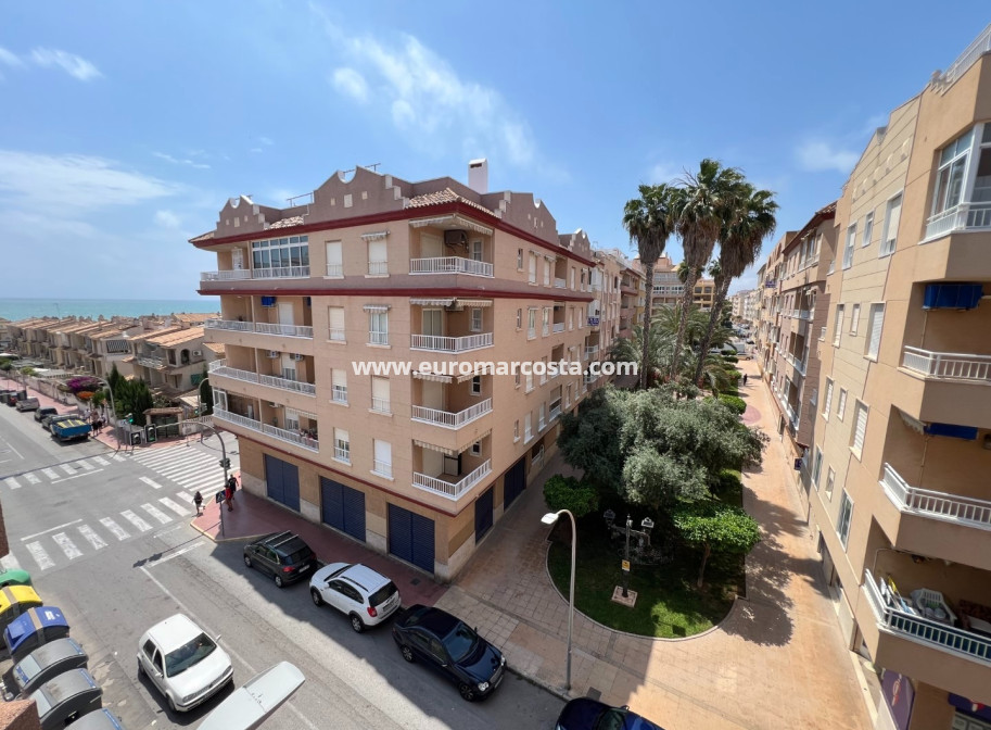 Sale - Apartment / flat - Guardamar del Segura