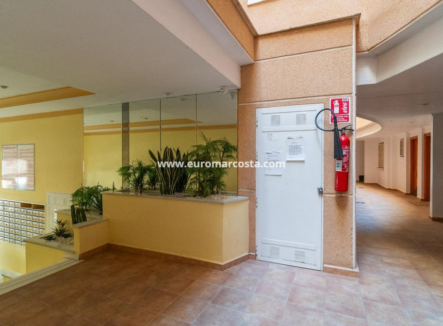 Venta - Apartamento / piso - Torrevieja - TORREVIEJA