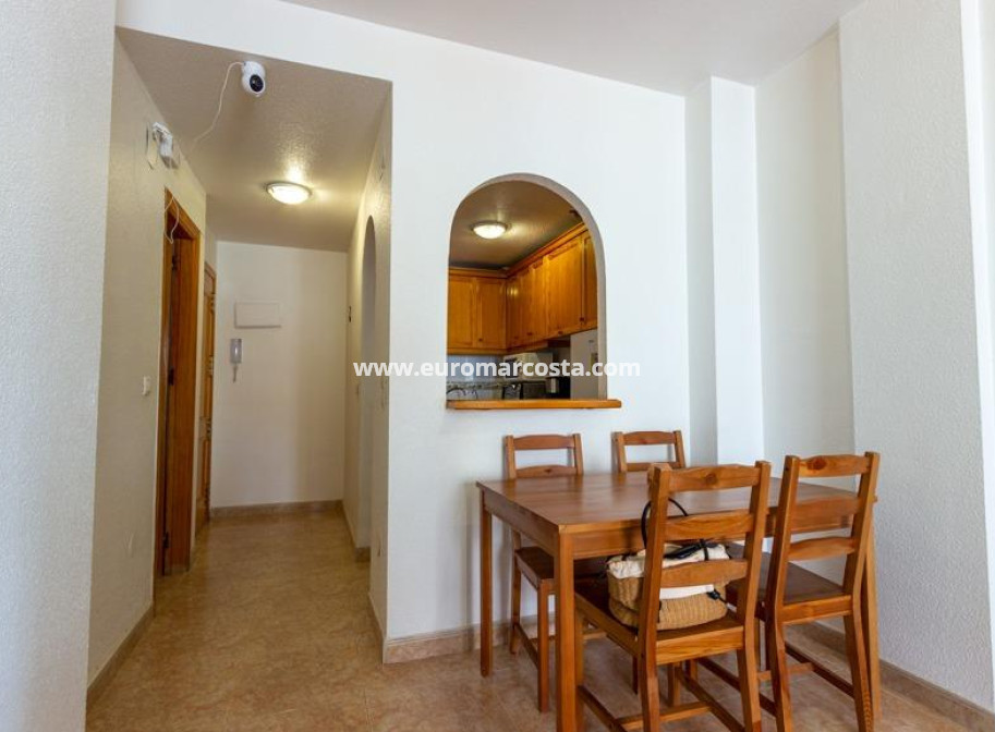 Venta - Apartamento / piso - Torrevieja - TORREVIEJA