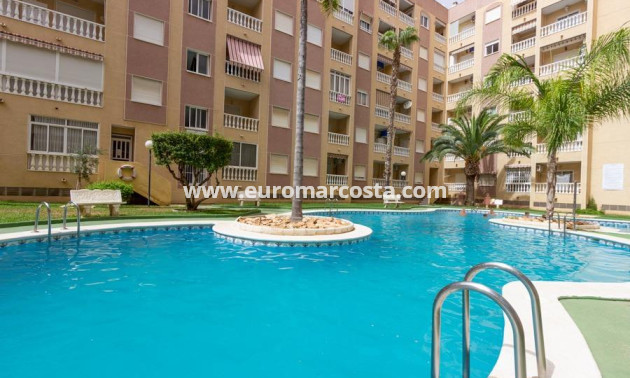 Venta - Apartamento / piso - Torrevieja - TORREVIEJA