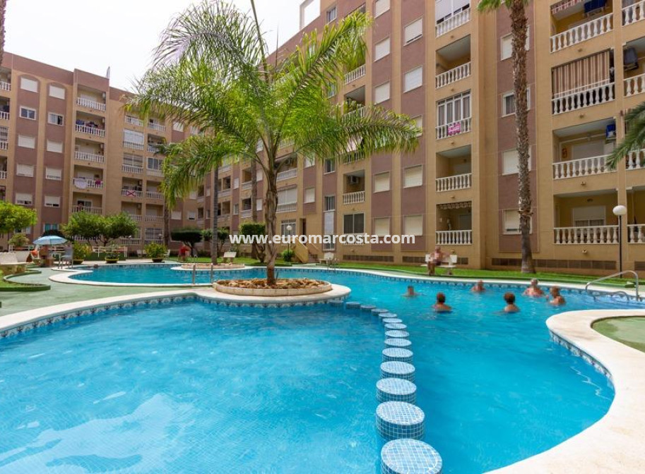 Venta - Apartamento / piso - Torrevieja - TORREVIEJA