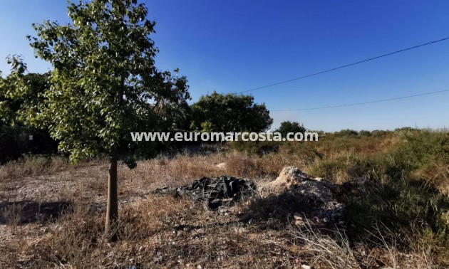 Venta - Casa de campo - Crevillente