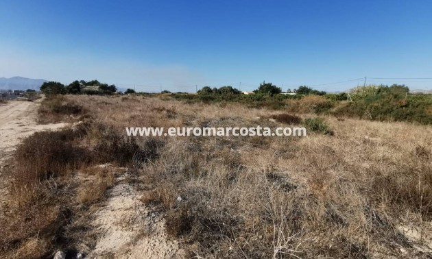 Venta - Casa de campo - Crevillente