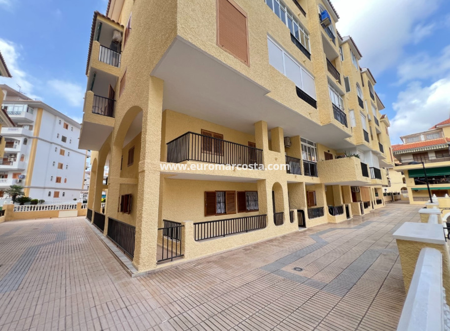 Sale - Apartment / flat - La Mata