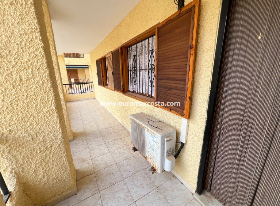 Venta - Apartamento / piso - La Mata