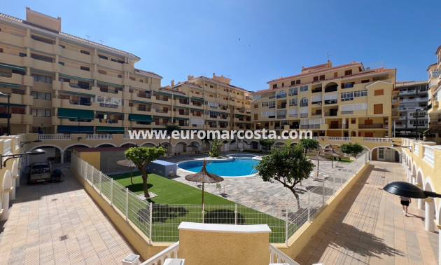 Sale - Apartment / flat - La Mata