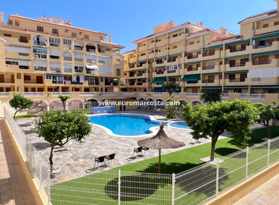 Venta - Apartamento / piso - La Mata