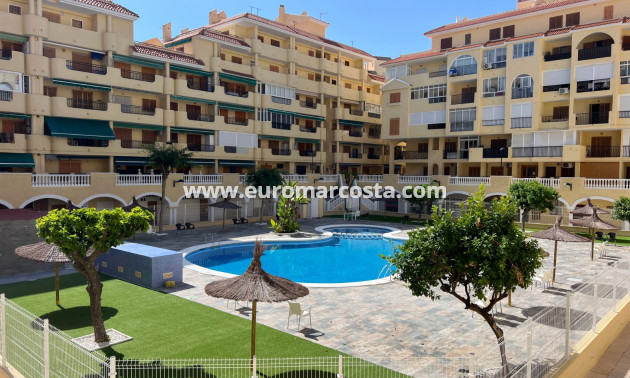 Sale - Apartment / flat - La Mata