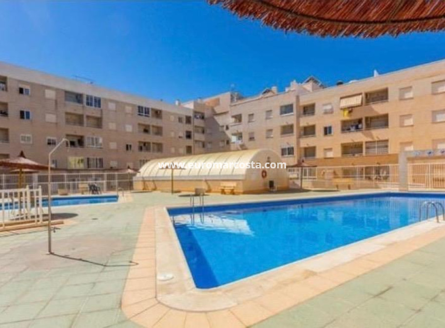 Sale - Apartment / flat - Torrevieja - TORREVIEJA