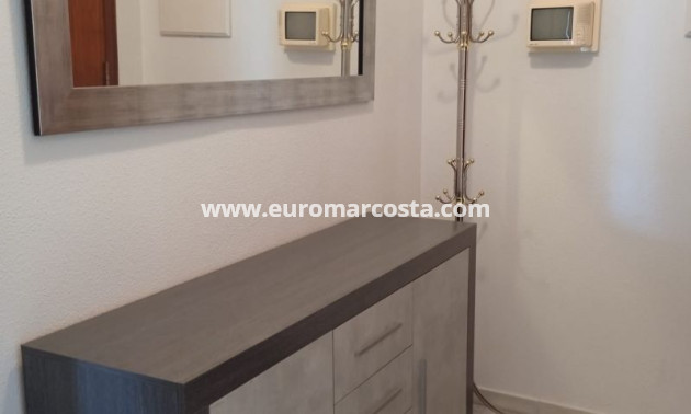 Sale - Apartment / flat - Torrevieja - TORREVIEJA