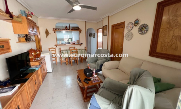 Sale - Apartment / flat - La Mata