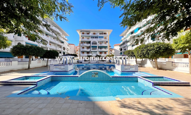 Sale - Apartment / flat - La Mata