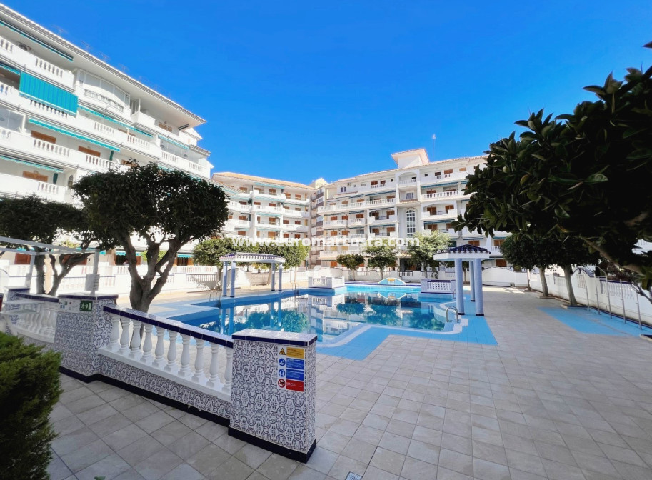 Sale - Apartment / flat - La Mata