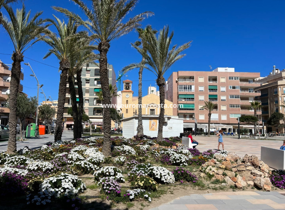 Venta - Apartamento / piso - La Mata