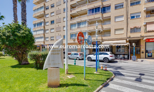 Venta - Apartamento / piso - Torrevieja - TORREVIEJA