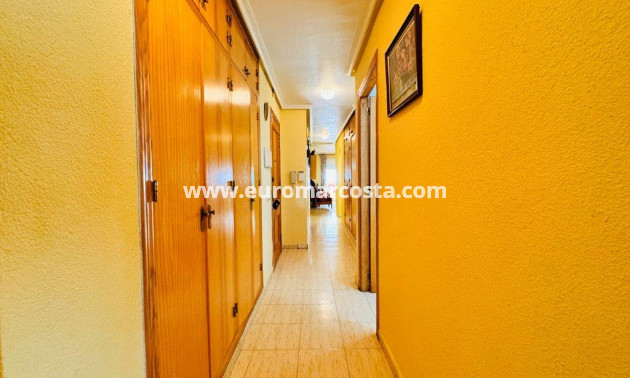 Sale - Apartment / flat - La Mata