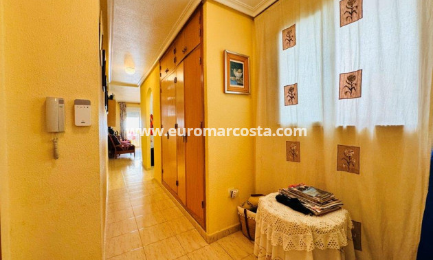 Sale - Apartment / flat - La Mata