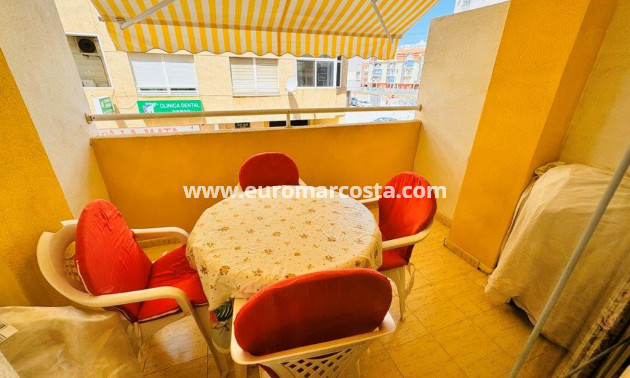 Sale - Apartment / flat - La Mata