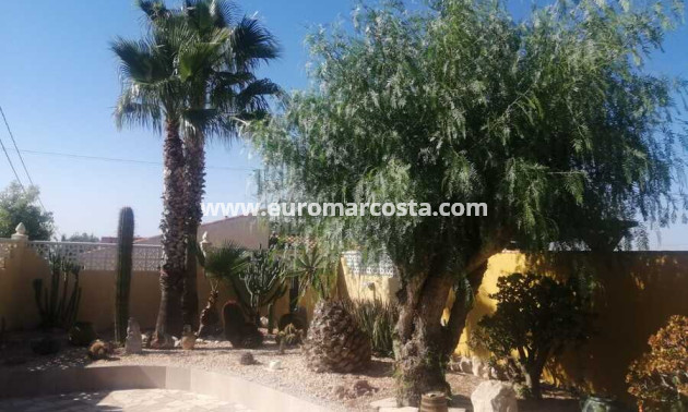 Sale - Detached Villa - Albatera