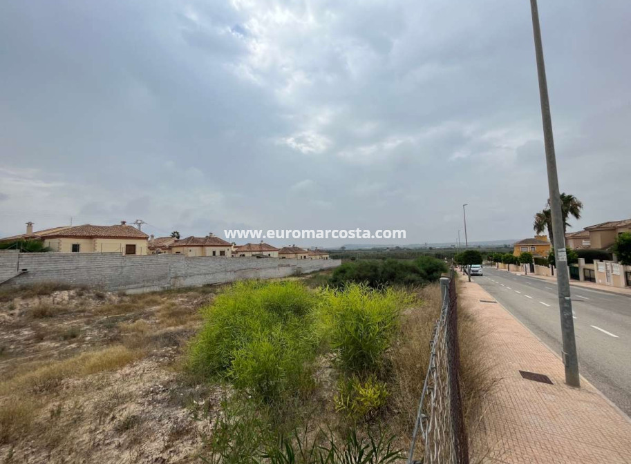 Sale - Plot / Land - San Fulgencio