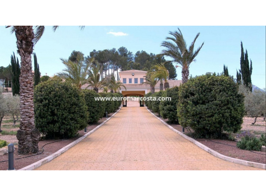 Objekte zum Wiederverkauf - Villa freitstehend - Elche Pedanías - Elche/Elx