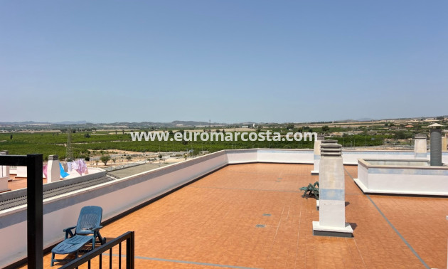 Sale - Penthouse - Los Montesinos - Montesinos