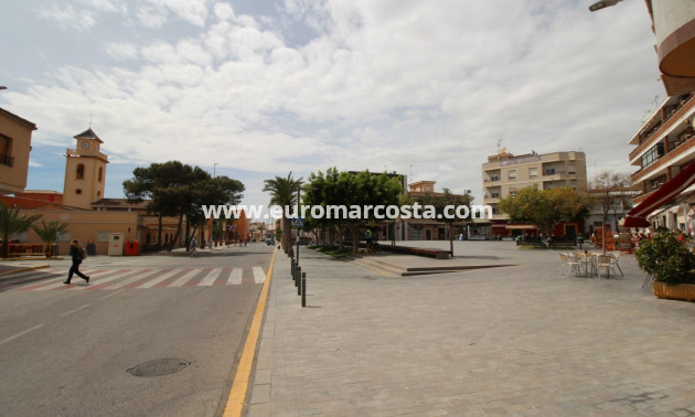 Sale - Penthouse - Los Montesinos - Montesinos