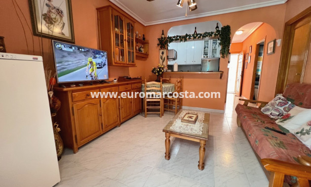 Sale - Apartment / flat - La Mata