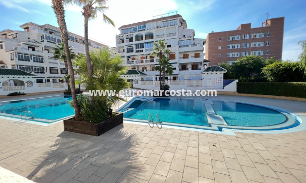 Venta - Apartamento / piso - La Mata