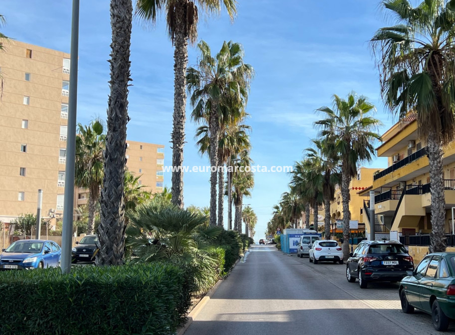 Sale - Apartment / flat - La Mata