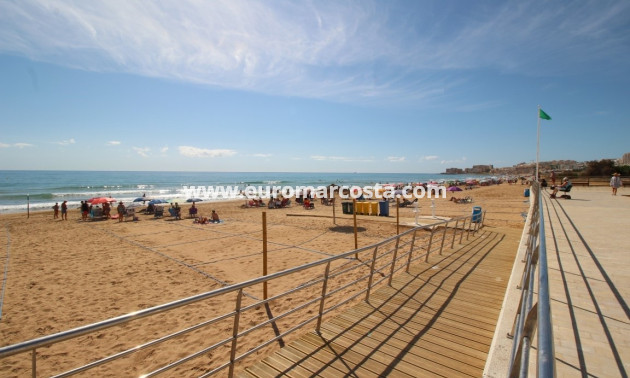 Venta - Apartamento / piso - La Mata