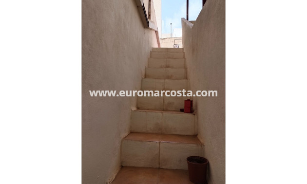 Venta - Apartamento / piso - Elche - Elche/Elx